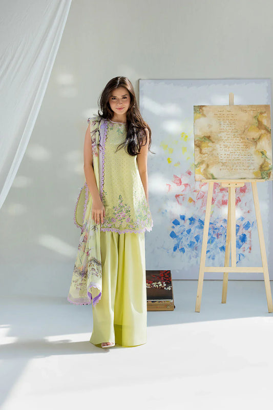 DESIGN 11A VITAL 2026