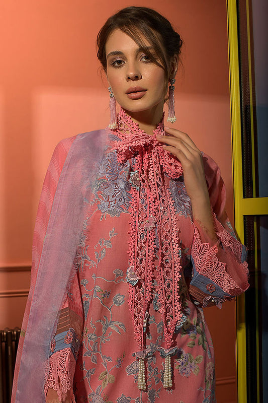 DESIGN 6B SUMMER VITAL '24