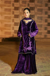 Plum Luxury Velvet