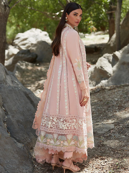 Chikkankari Affair - D2 B