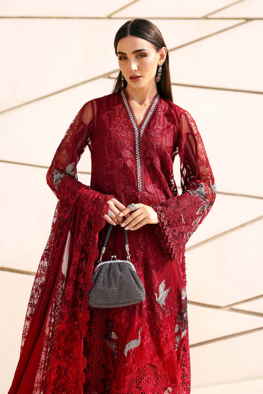 Embroidered Net Suit