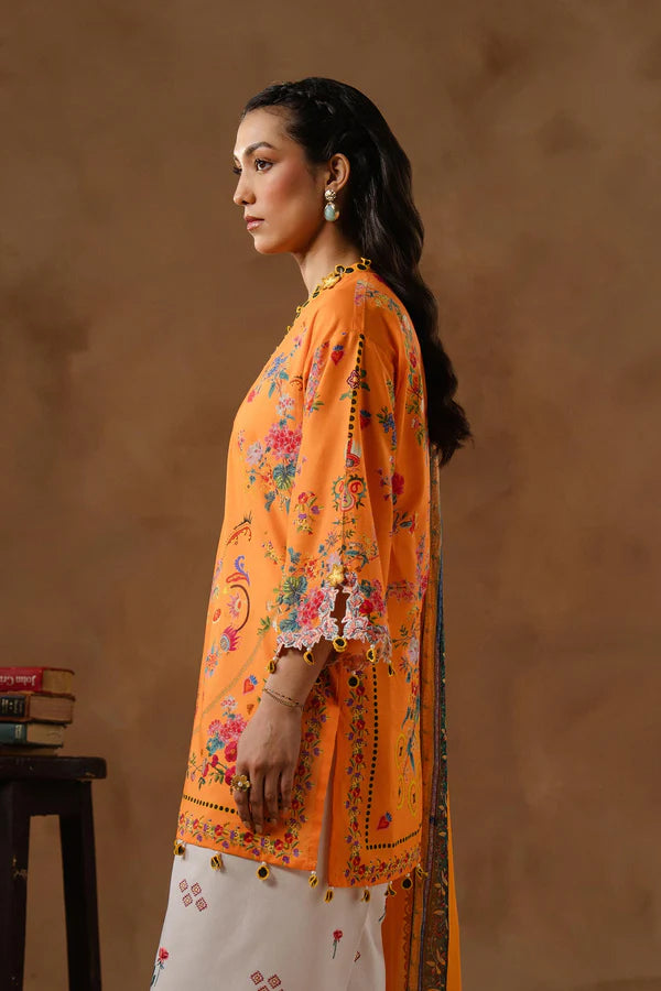 Sana Safinaz 1B