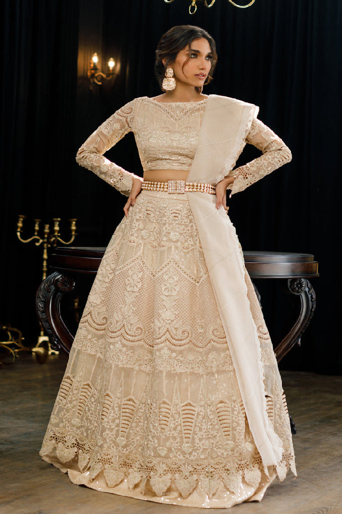 ORGANZA EMBROIDERED BLOUSE AND SKIRT Design Code: 7941.4