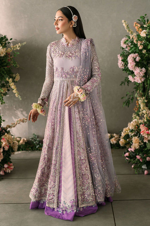 Mushq Mastani Evening