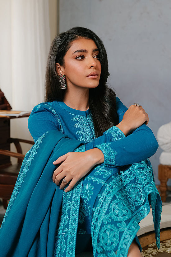 ETHNIC GROOVE-3PC KHADDAR EMBROIDER