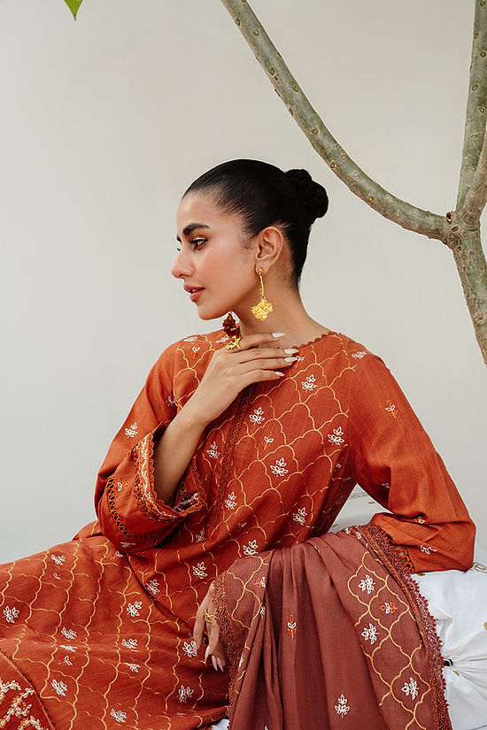 TAN HUES-3PC KHADDAR EMBROIDERED SUIT