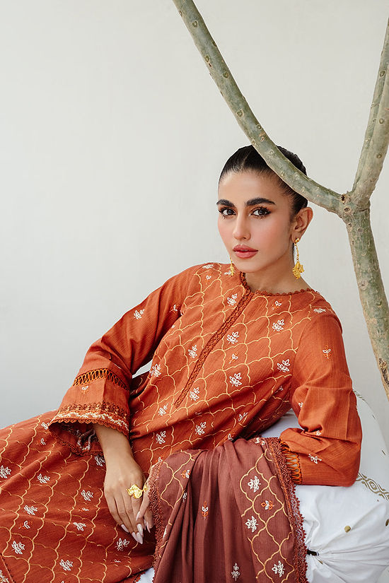 TAN HUES-3PC KHADDAR EMBROIDERED SUIT