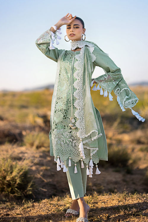 Meadow Mint