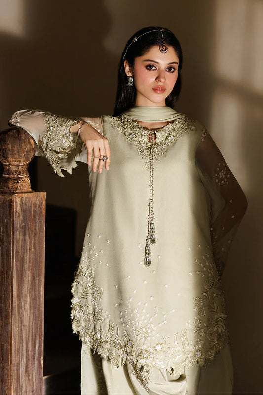 CC-101 EMBROIDERED CHIFFON
