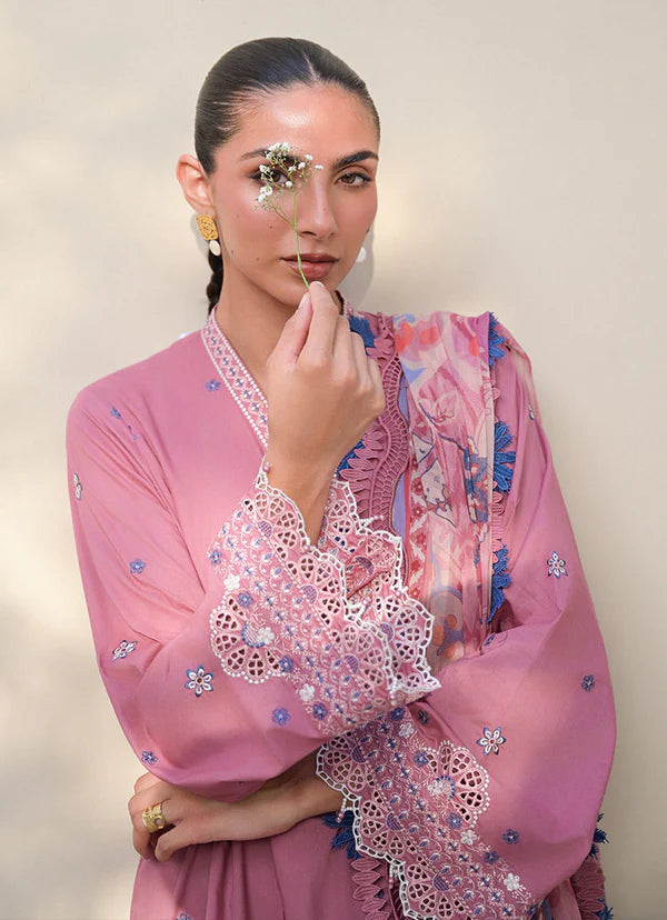 Paloma