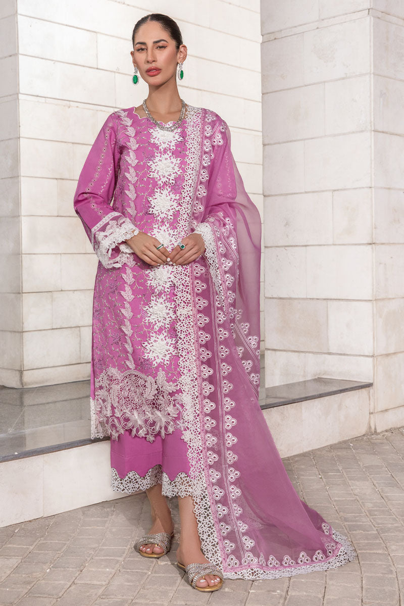 RANG RASIYA CARNATION FESTIVE EDIT