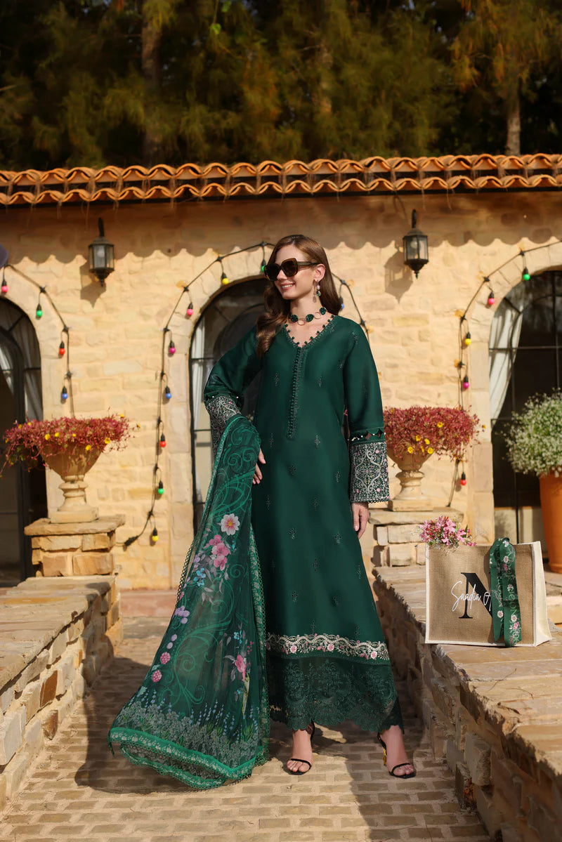 Noor luxe chikankaari