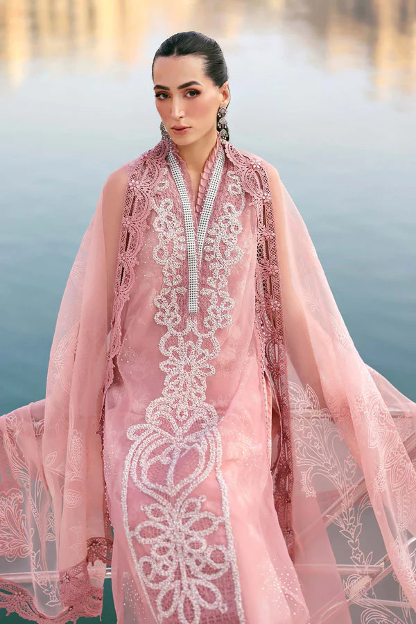Embroidered Organza Suit