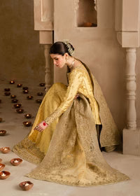 Roohi