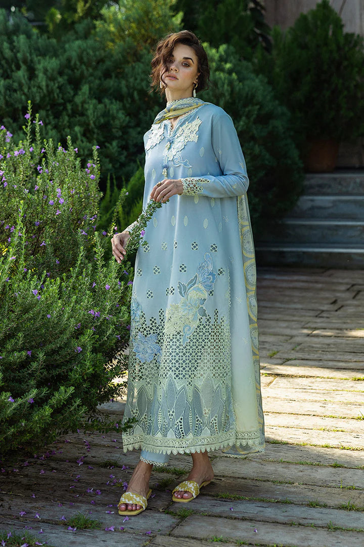 Mushq Ombre Solace Chikankari