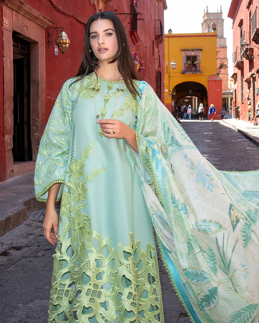 PALOMA