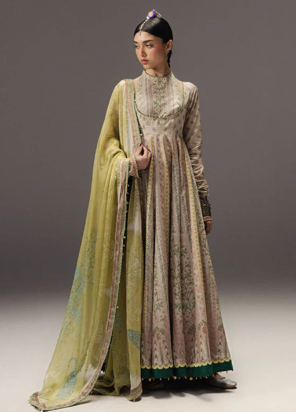D-08 HOORAIN