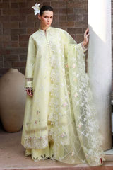 CITRUS LACE