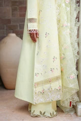 CITRUS LACE