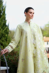 CITRUS LACE