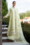 CITRUS LACE