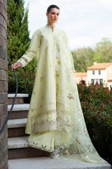 CITRUS LACE