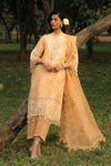 L251-008B-3CT