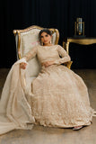 ORGANZA EMBROIDERED BLOUSE AND SKIRT Design Code: 7941.4