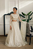 ORGRANZA EMBROIDERED BLOUSE AND SKIRT Design Code: 7972