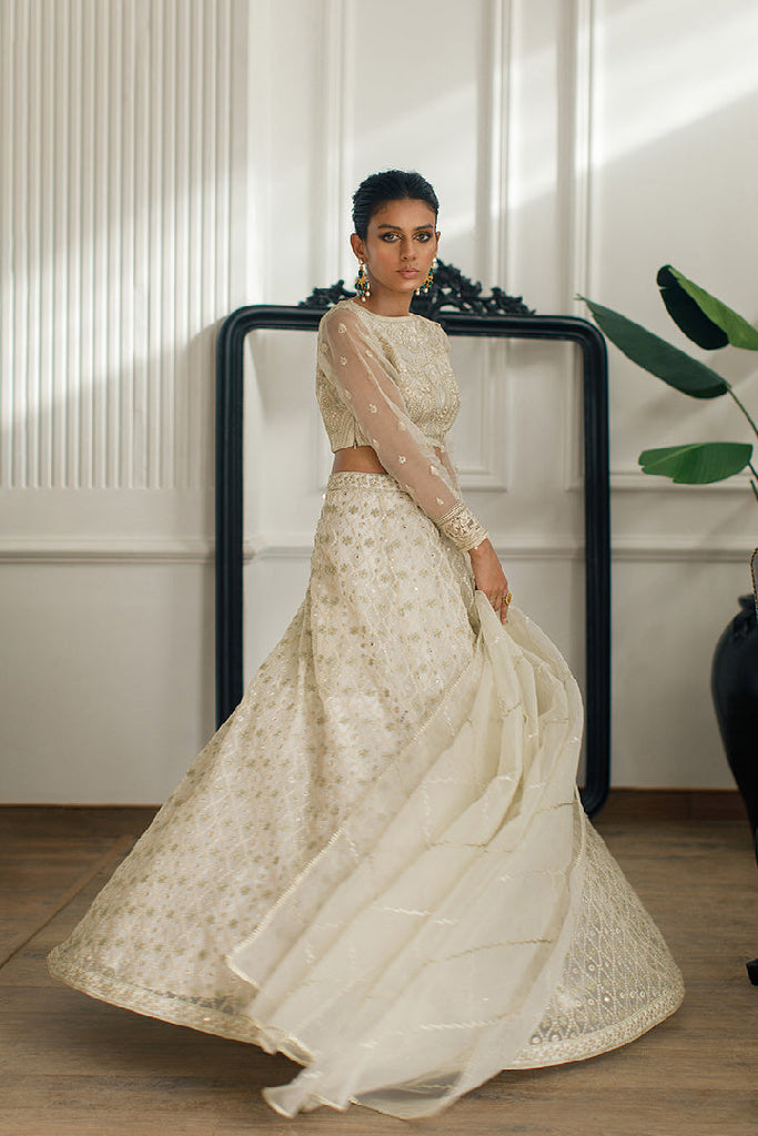 ORGRANZA EMBROIDERED BLOUSE AND SKIRT Design Code: 7972