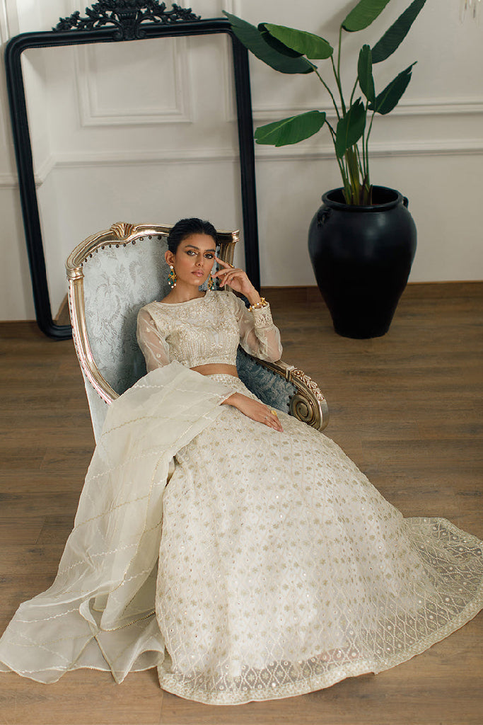 ORGRANZA EMBROIDERED BLOUSE AND SKIRT Design Code: 7972