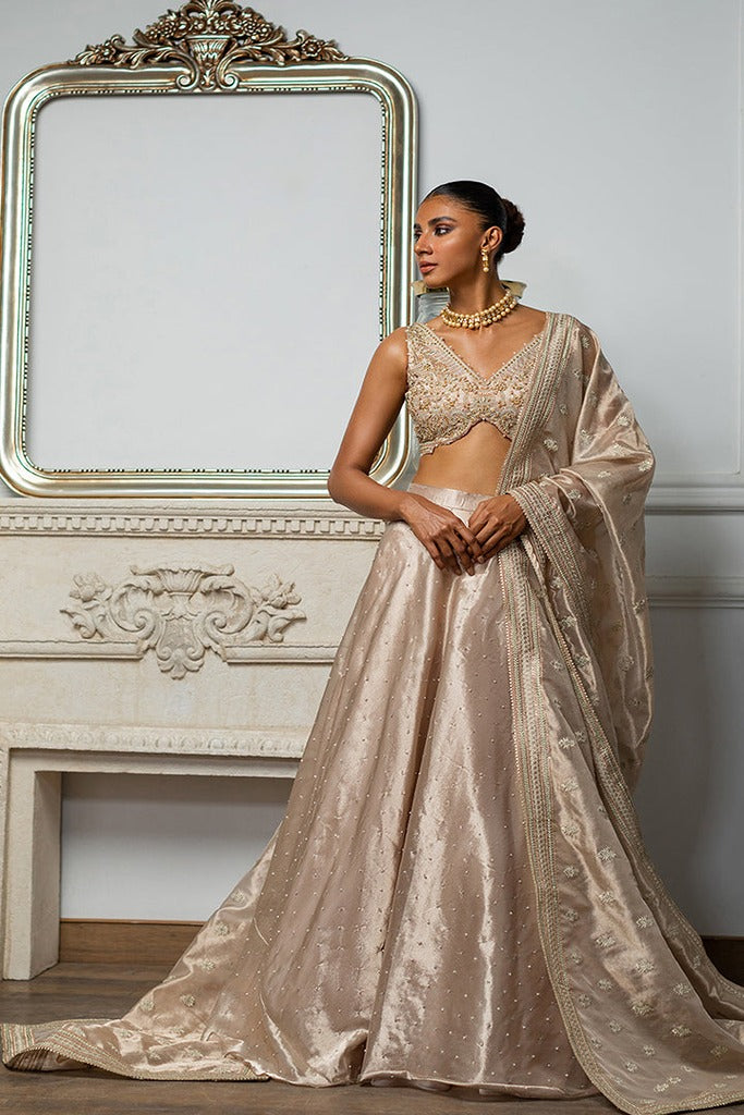 EMBROIDERED BLOUSE WITH LEHENGA