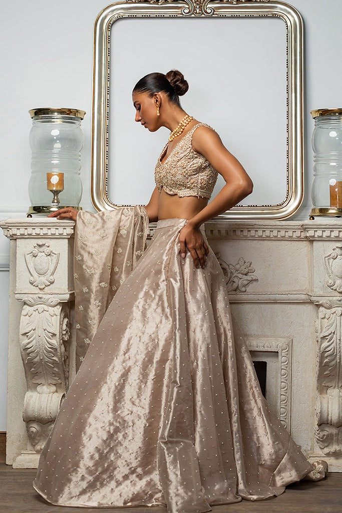 EMBROIDERED BLOUSE WITH LEHENGA
